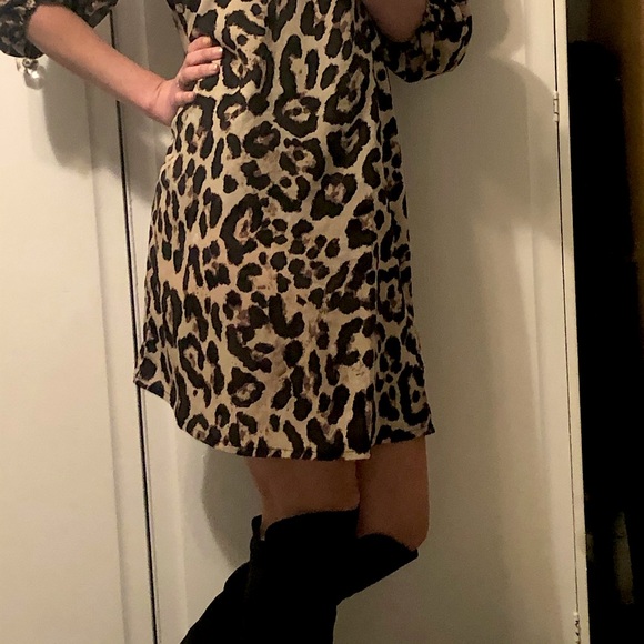 Leopard Print Lantern Sleeve Tunic Dress - Picture 5 of 9